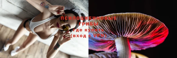дурь Мещовск