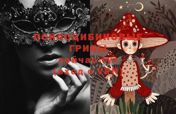 дурь Мещовск