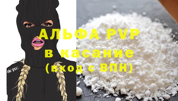 дживик Мензелинск
