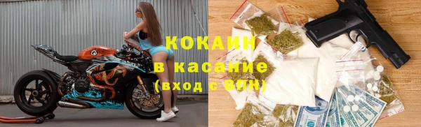 индика Арсеньев