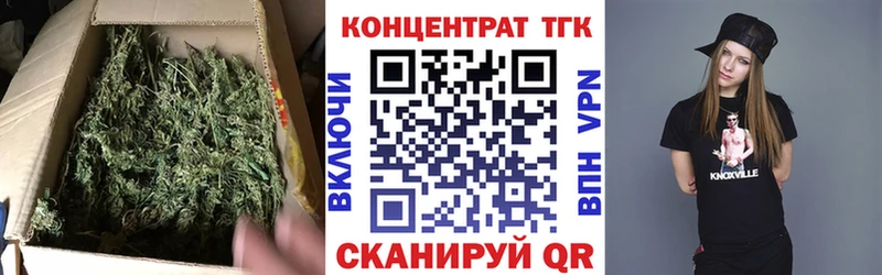 где продают наркотики  Полярные Зори  ТГК THC oil 