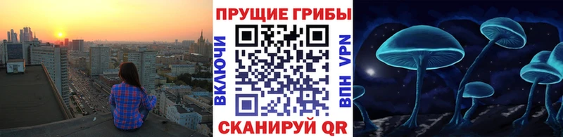 мега ТОР  Полярные Зори  сайты даркнета Telegram  Галлюциногенные грибы Cubensis 