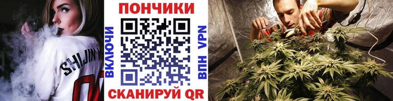 хочу   Полярные Зори  Бошки марихуана Bruce Banner 